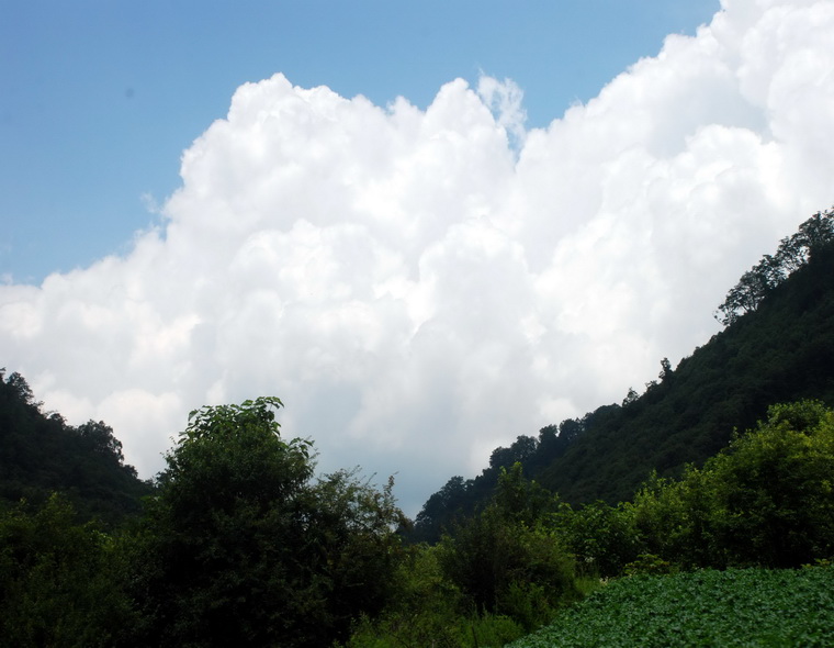dsc_0347.jpg