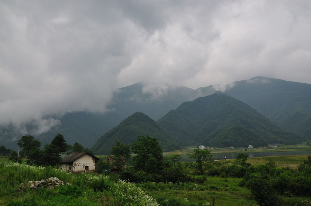 dsc_0202.jpg