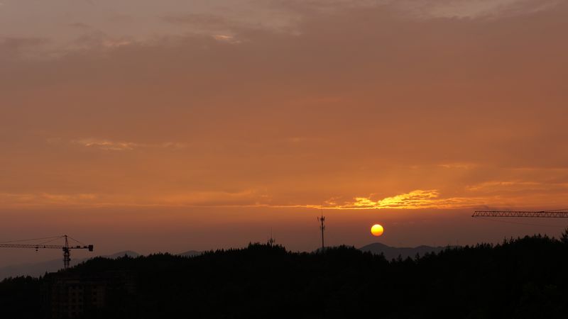 dsc00495.jpg