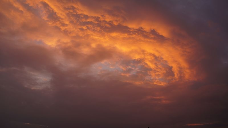 dsc00481.jpg