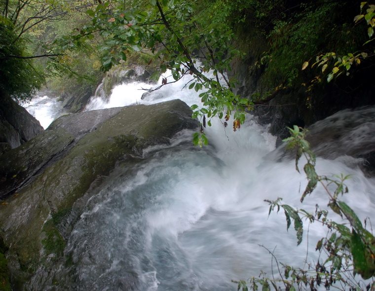 dsc_0043.jpg