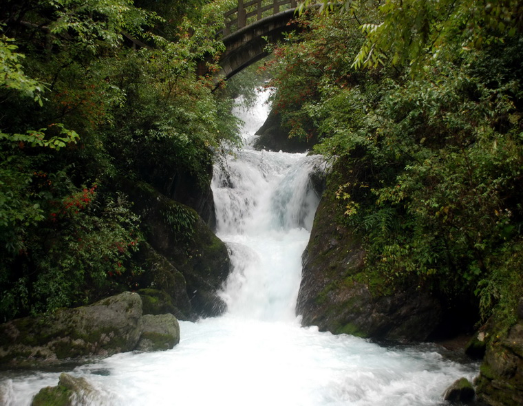 dsc_0047.jpg