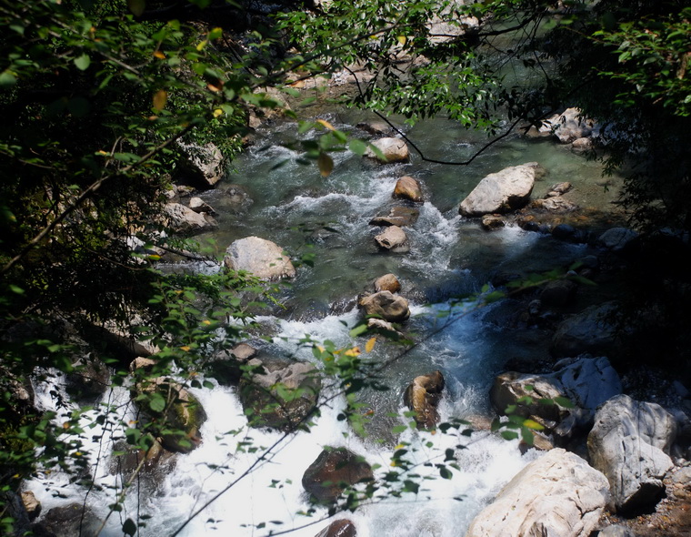 dsc_0111.jpg