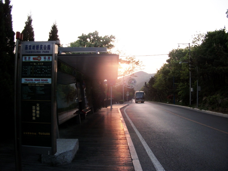 dscf0684.jpg