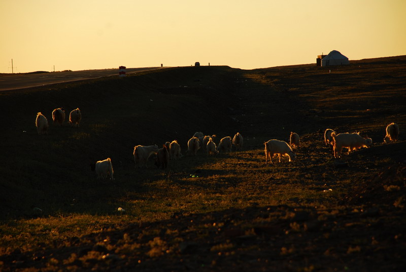 dsc_7134.jpg