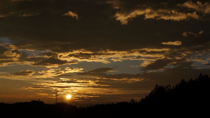 dsc00314.jpg