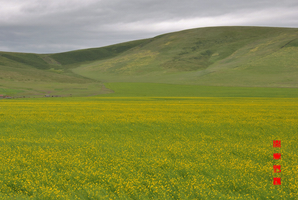 ԴͲ˻6a.jpg