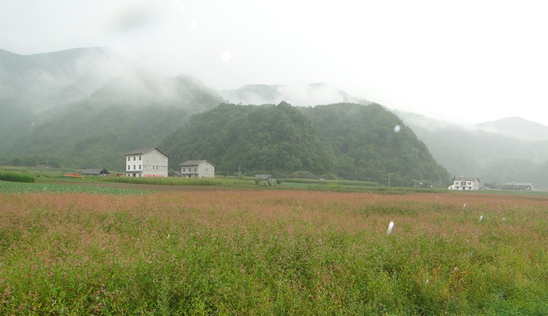 qqͼ20120818083633.jpg