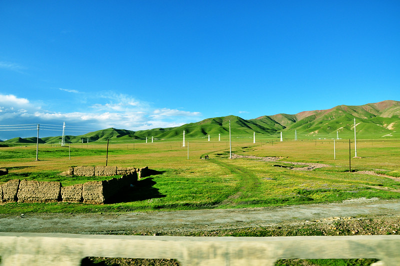 dsc_0480_.jpg