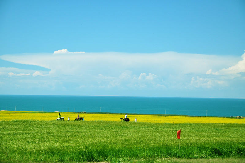 dsc_0713_.jpg