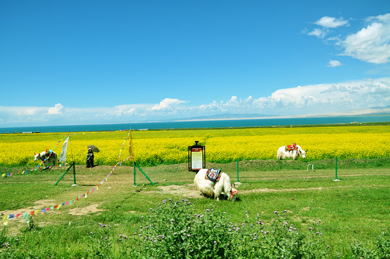 dsc_0691_.jpg