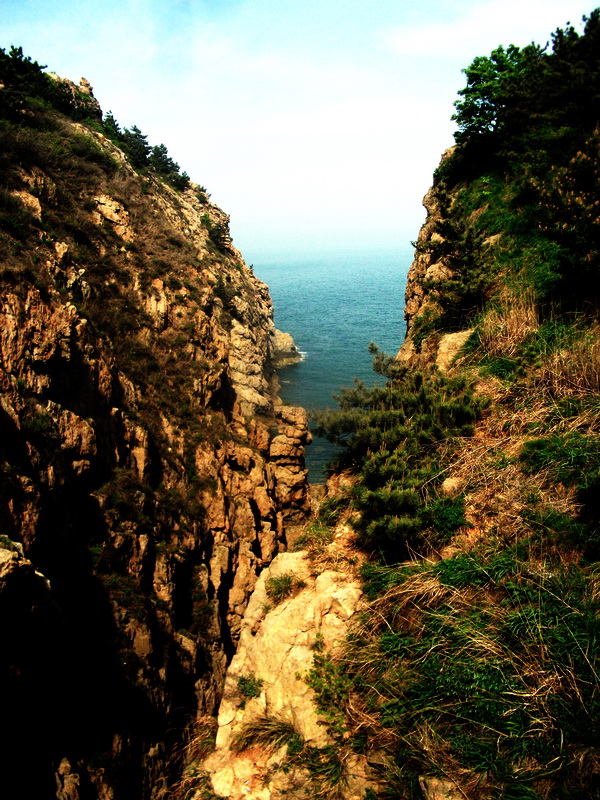 dscf0729.jpg