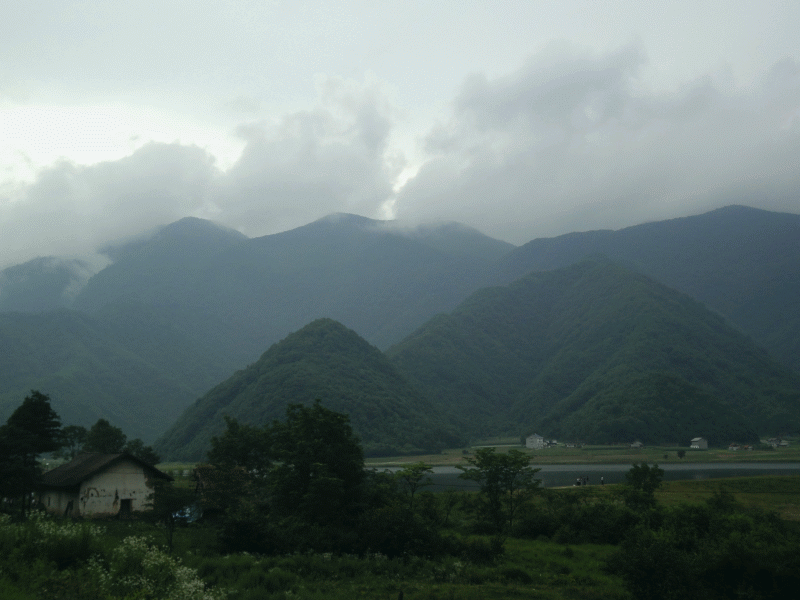 dsc00260.gif