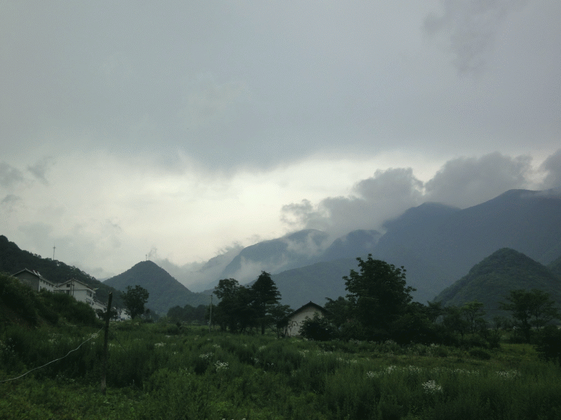 dsc00261.gif