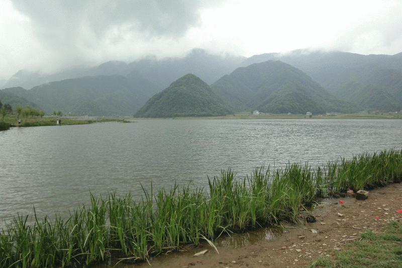 dsc00275.gif