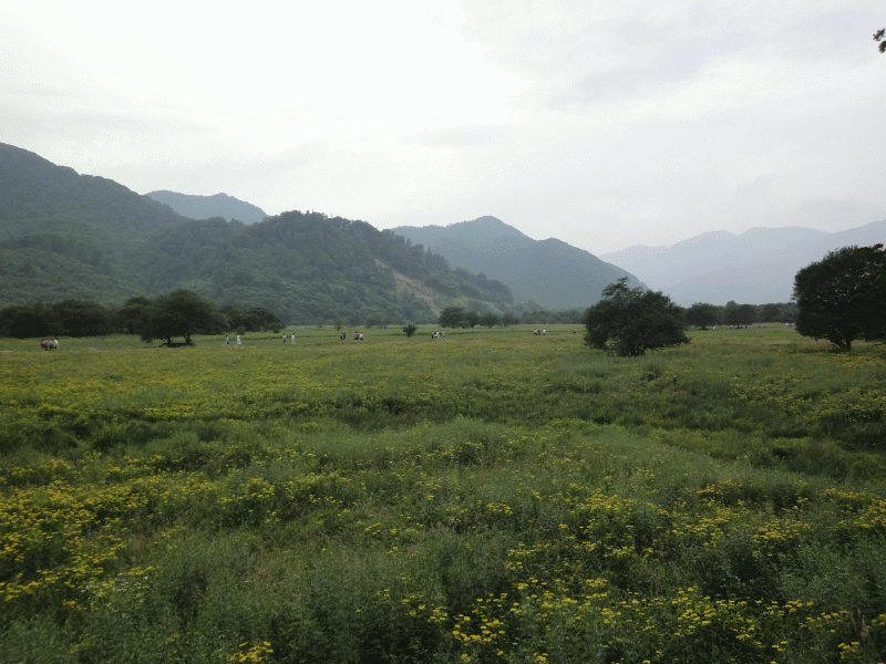 dsc00316.gif