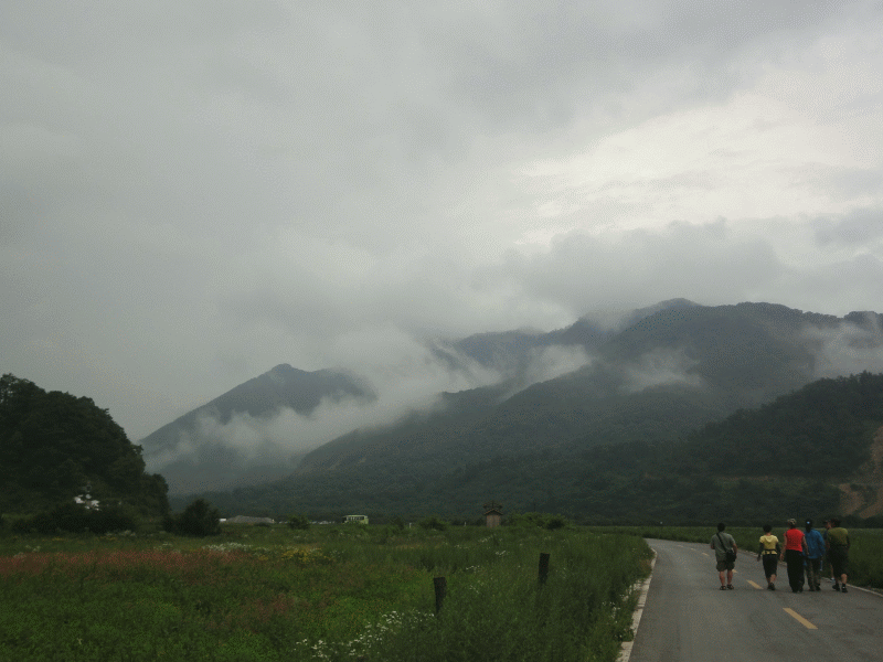 dsc00299.gif