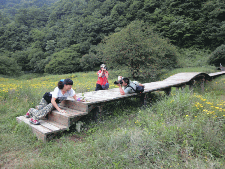 dsc00319.gif