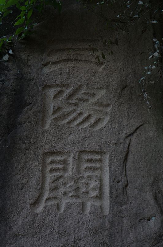 dsc00236.jpg