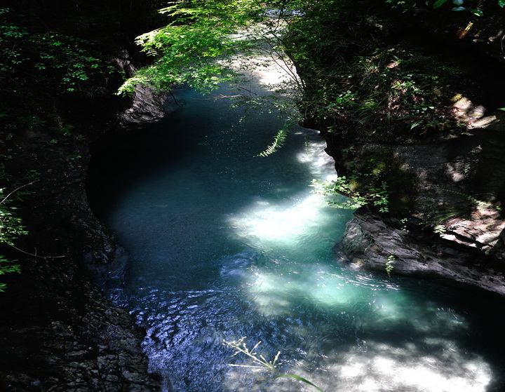 dsc_0061.jpg