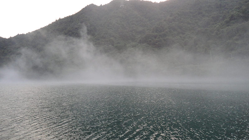 dsc01135_.jpg