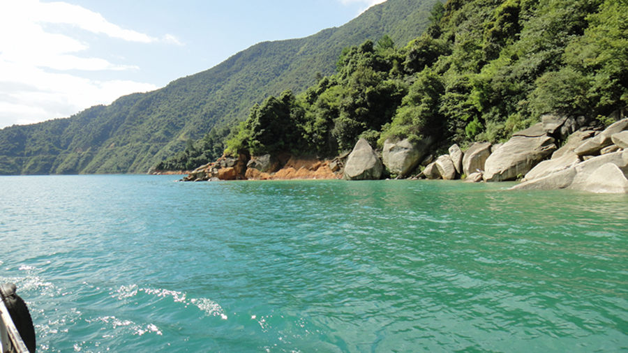 dsc01244_.jpg