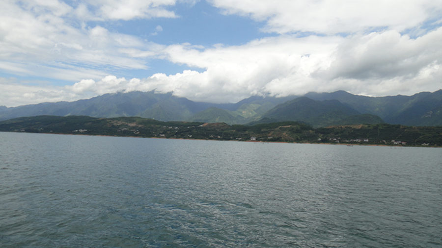 dsc01290_.jpg