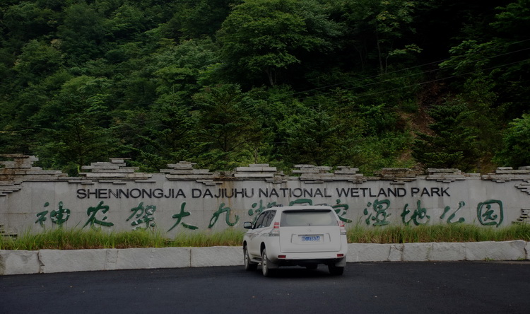 dsc_0482.jpg