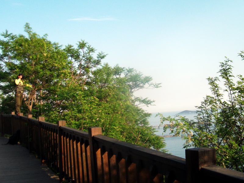dscf0748.jpg