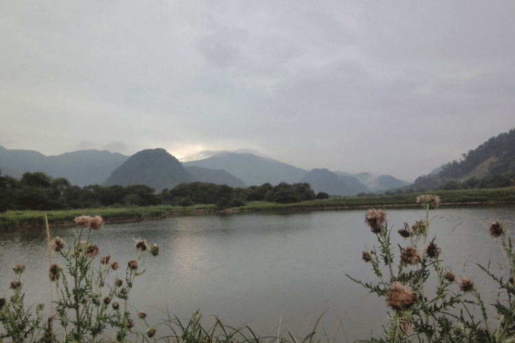dsc00393.gif