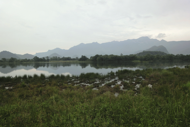 dsc00403.gif