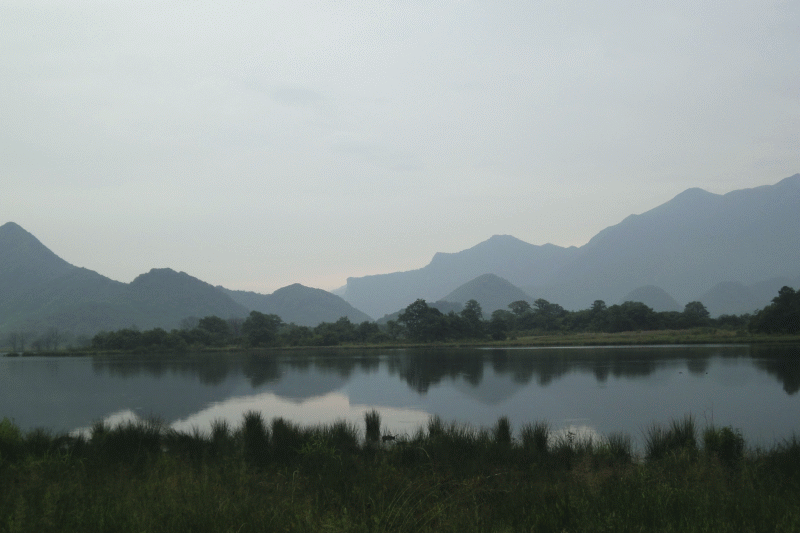dsc00405.gif