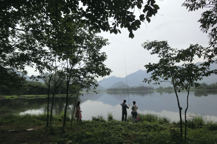 dsc00414.gif