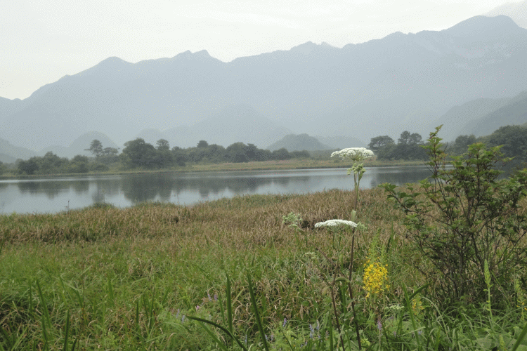 dsc00409.gif