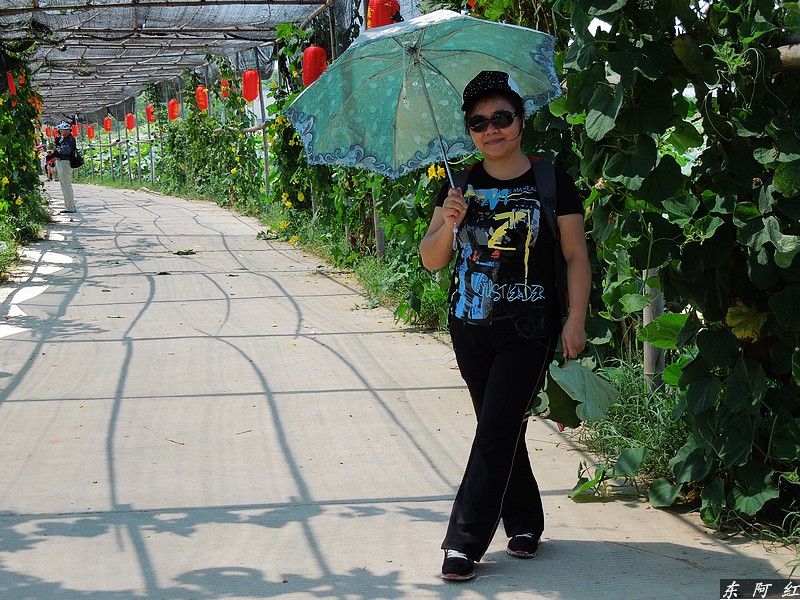 dscn0837.jpg
