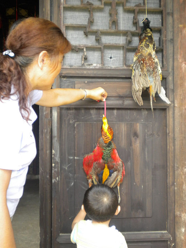 dscn5615_副本.jpg