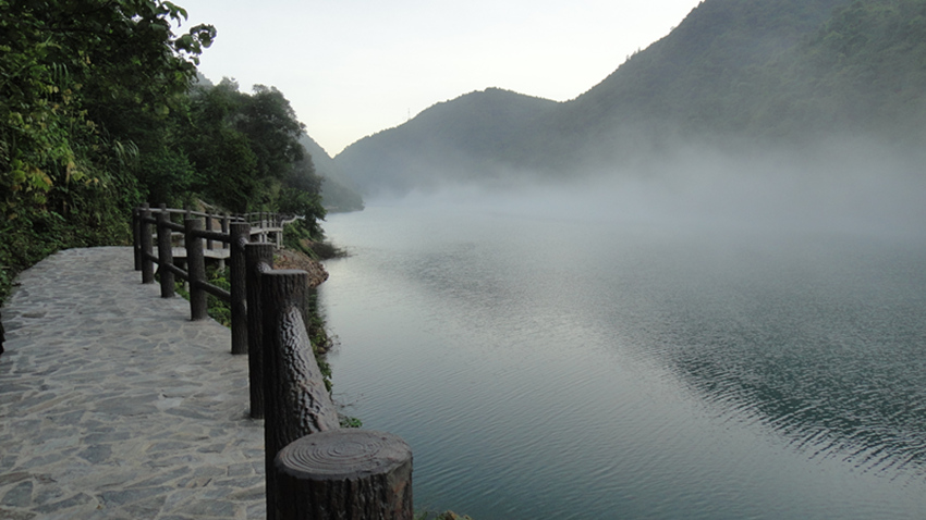 dsc01153_.jpg