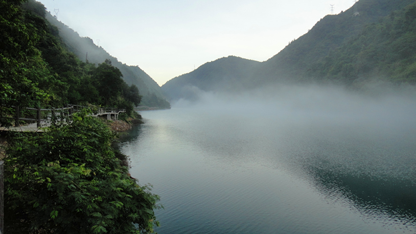 dsc01155_.jpg