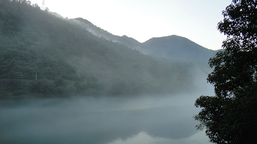 dsc01157_.jpg
