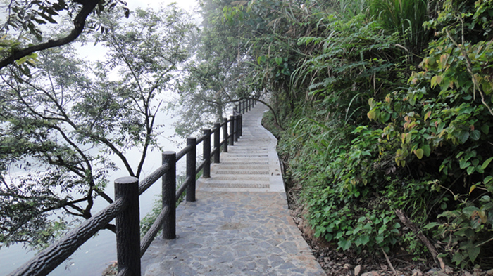 dsc01165_.jpg