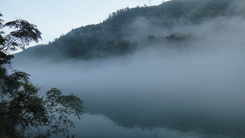 dsc01169_.jpg