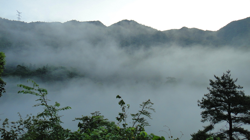 dsc01171_.jpg
