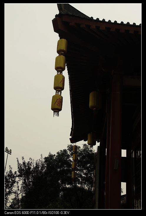neo_img__mg_2640.jpg