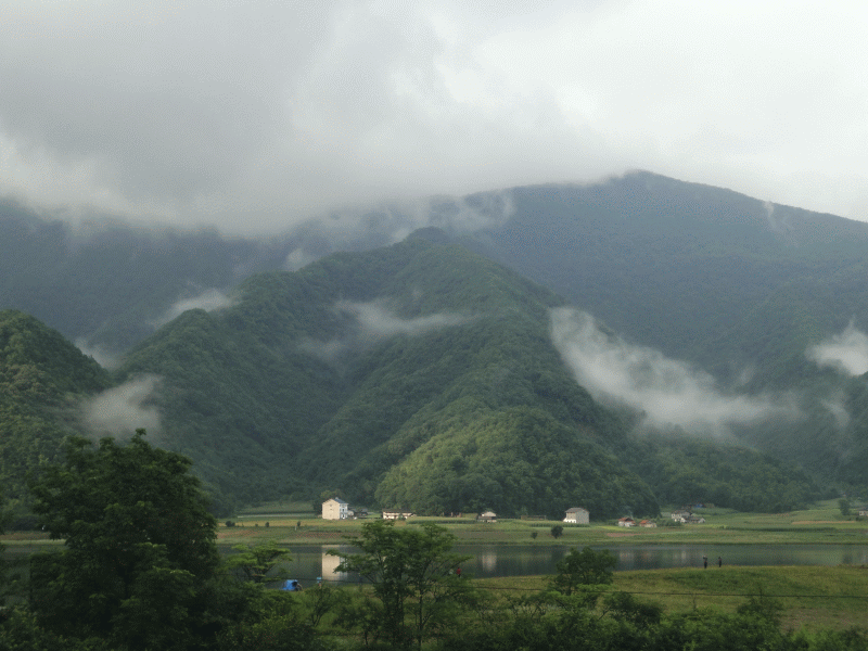 dsc00476.gif