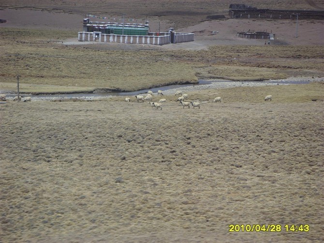 صС.jpg