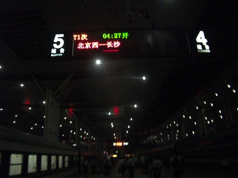 dscf0767.jpg