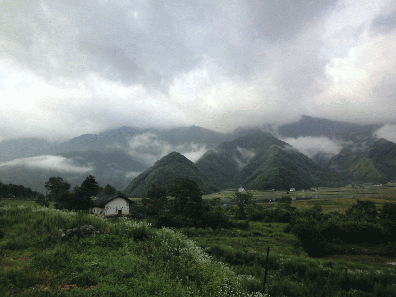 dsc00466.gif