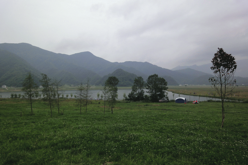 dsc00442.gif