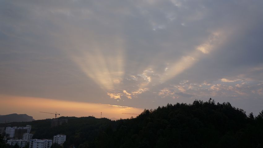 dsc00420.jpg