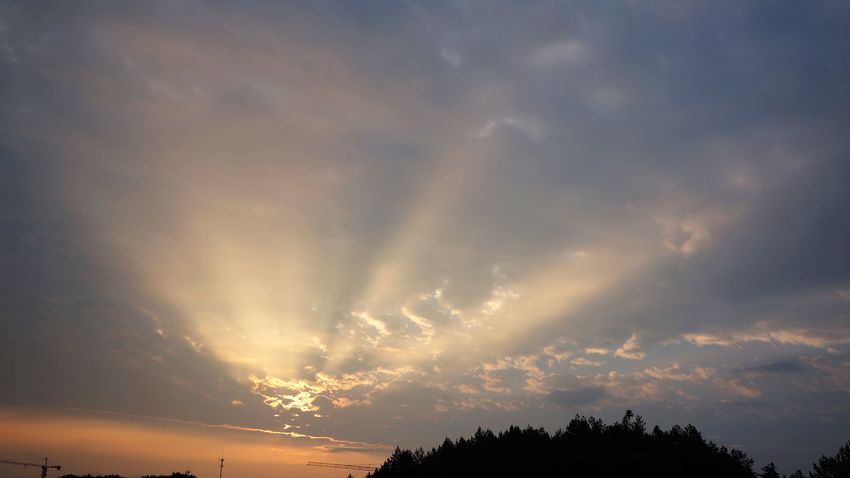 dsc00425.jpg